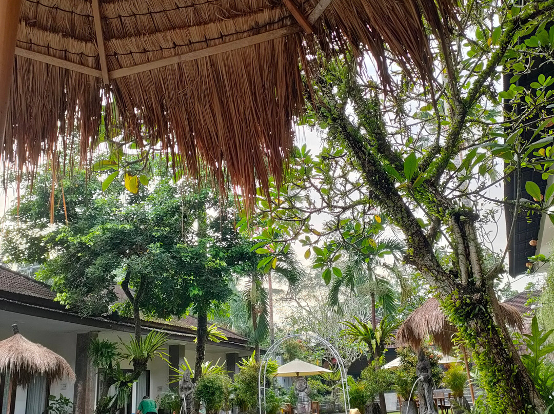 Ubud Raya Shala主图