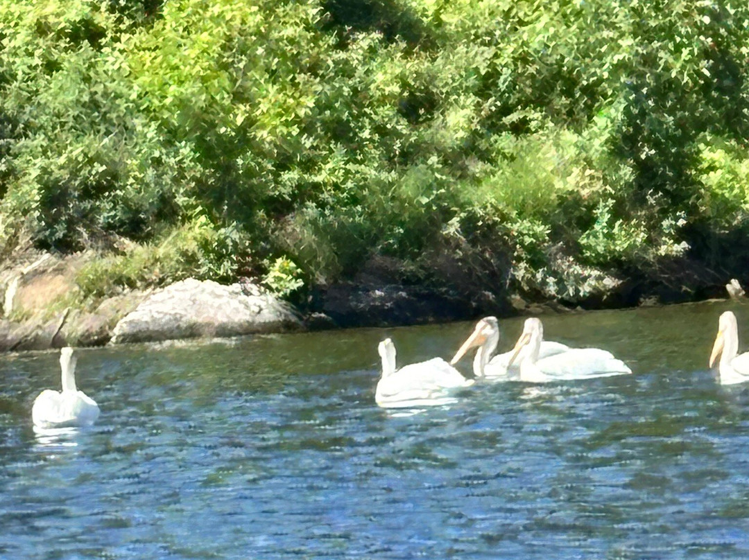 Border Guide Service-Kabetogama必去景点