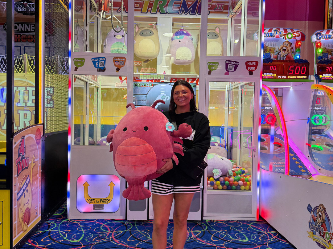 Arcade City Gatlinburg-盖林柏格必去景点