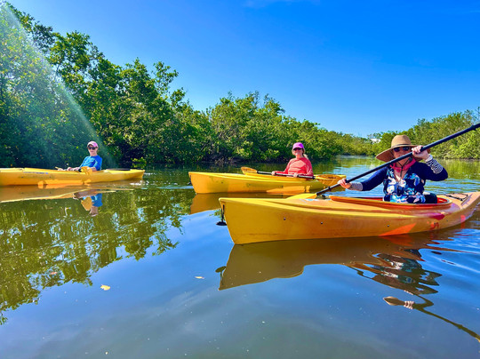 Biotica EcoTours - Day Tours-萨拉索塔必去景点