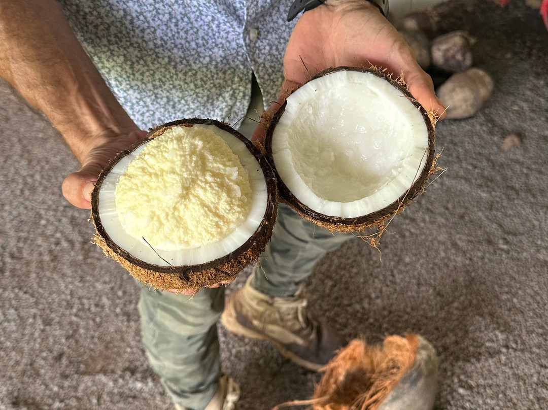 ONO Organic Farms-哈纳必去景点