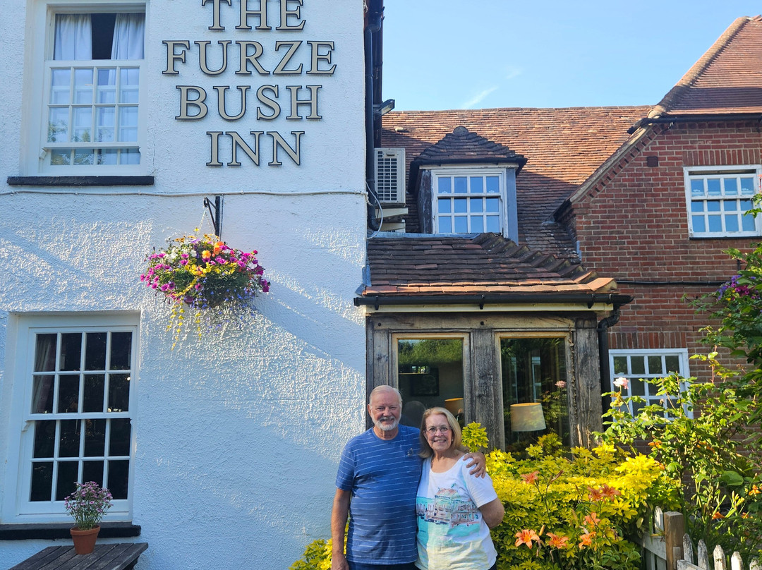 The Furze Bush Inn主图