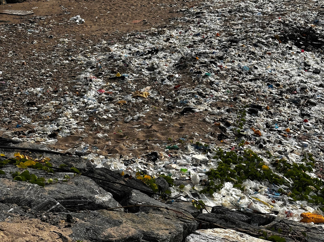 The C Resort & Residences主图