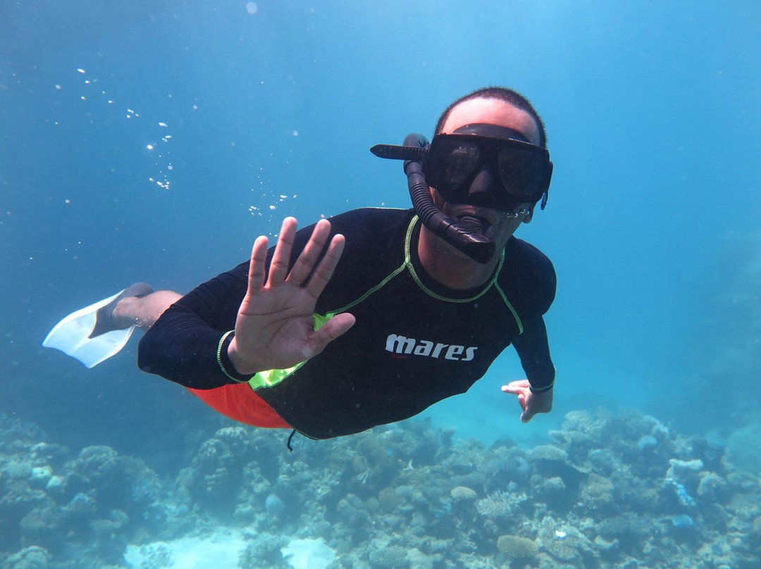 Enjoy Tours Mit Obama-赫尔格达必去景点