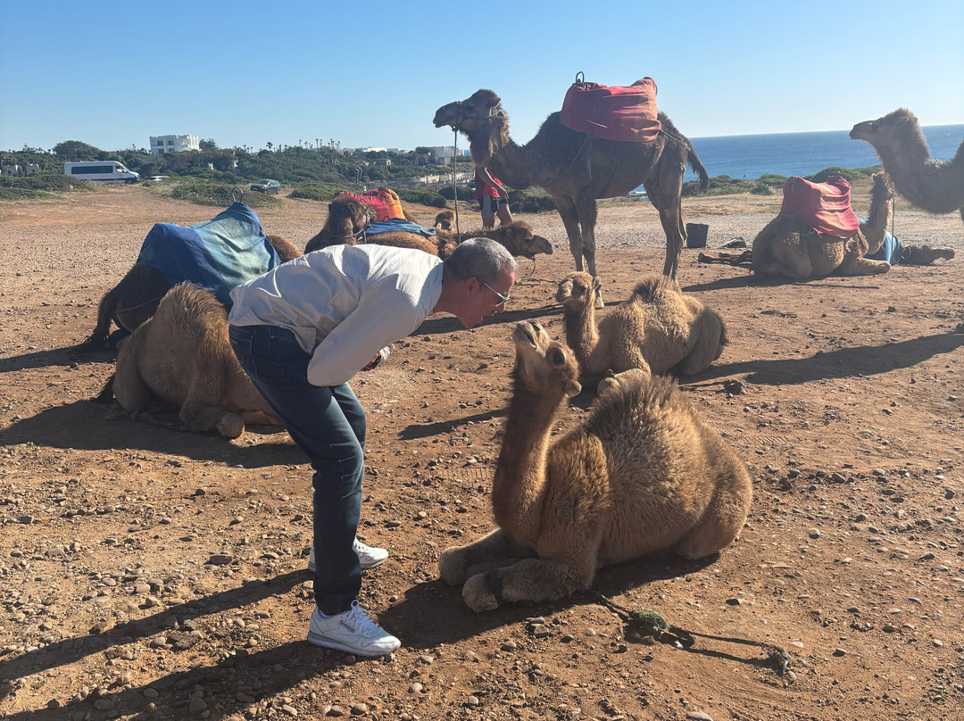 Tangier Excursions-丹吉尔必去景点