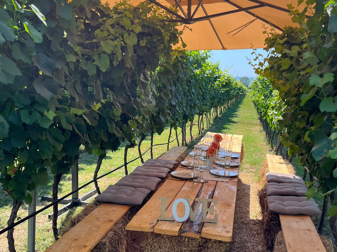 Monte Grande Winery-波德戈里察必去景点