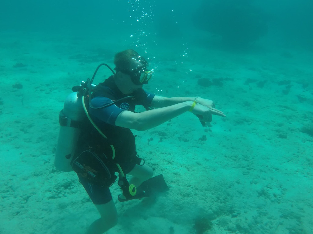 Ruscubadive-巴拉德罗必去景点