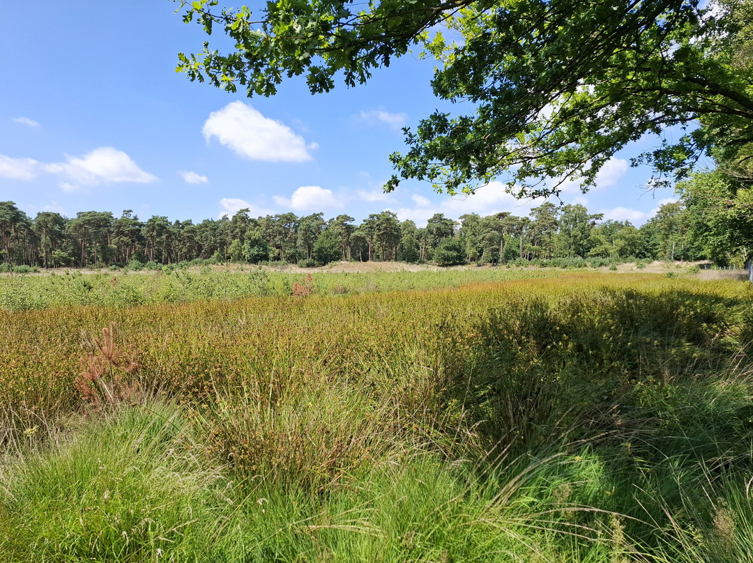 Moorerlebnisweg-韦瑟尔必去景点