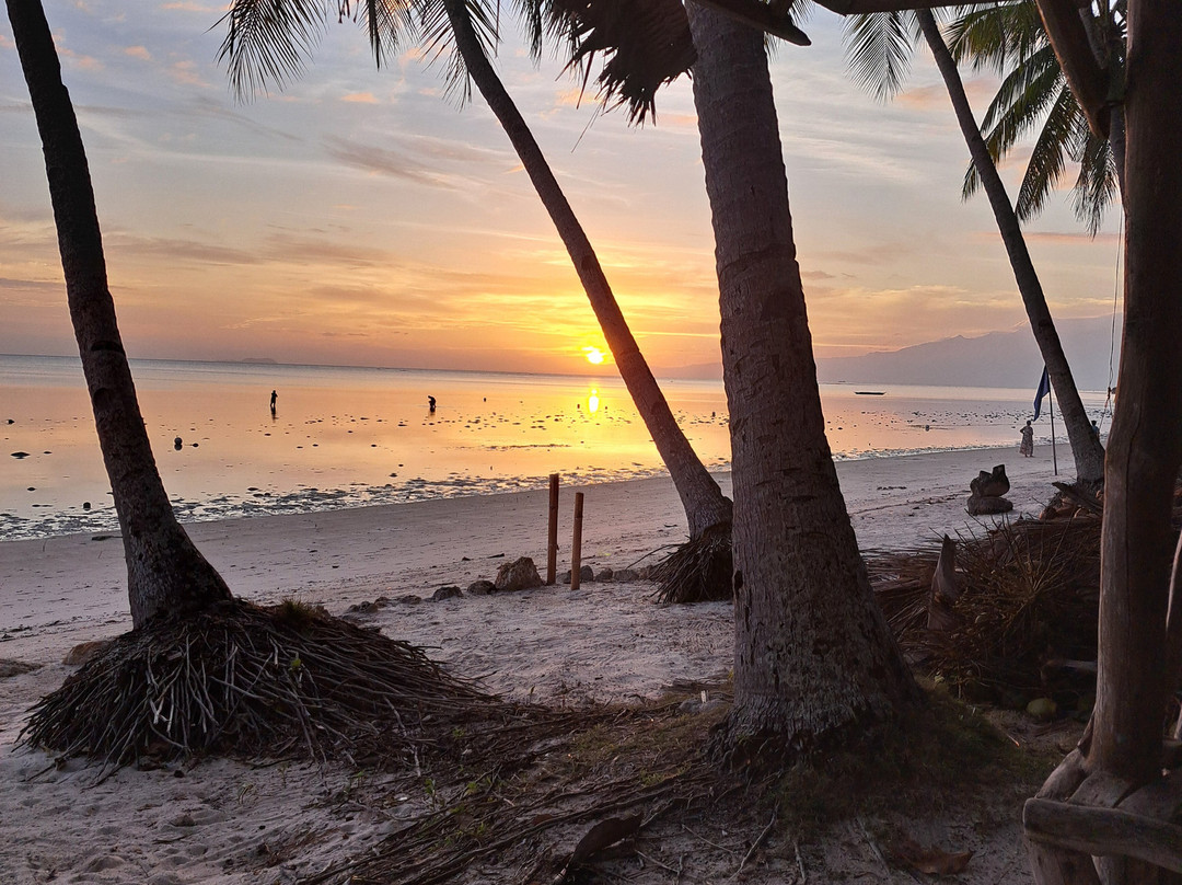 Sea Pearl Divers-圣胡安必去景点
