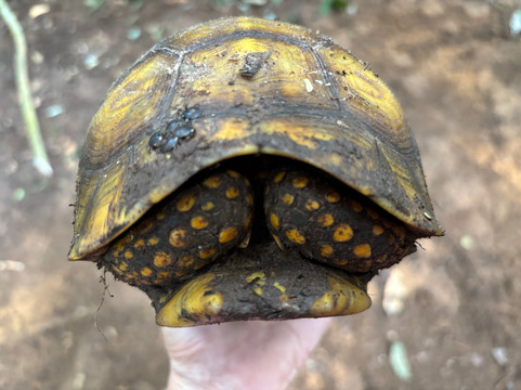 Inca Land Tours-拉巴斯必去景点