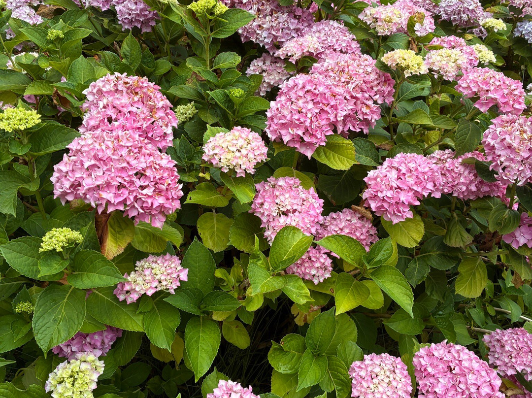 Domaine Du Roucou主图