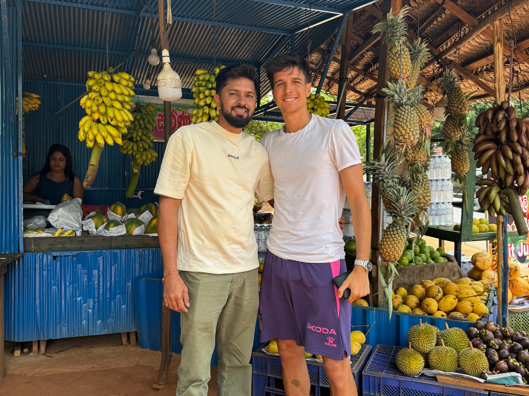 Idyll Odyssey Holidays-科伦坡必去景点