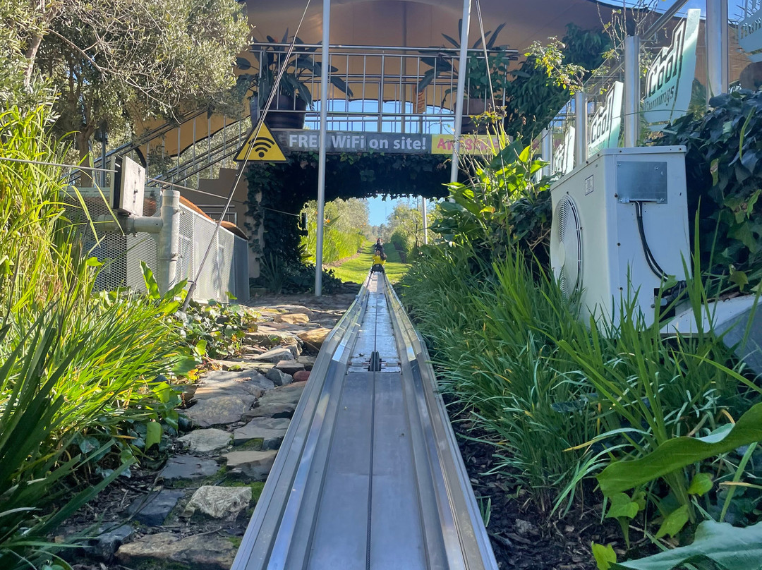 Cool Runnings-Bellville必去景点