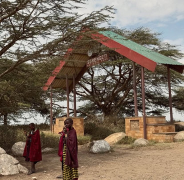 Serengeti Nexus-阿鲁沙必去景点