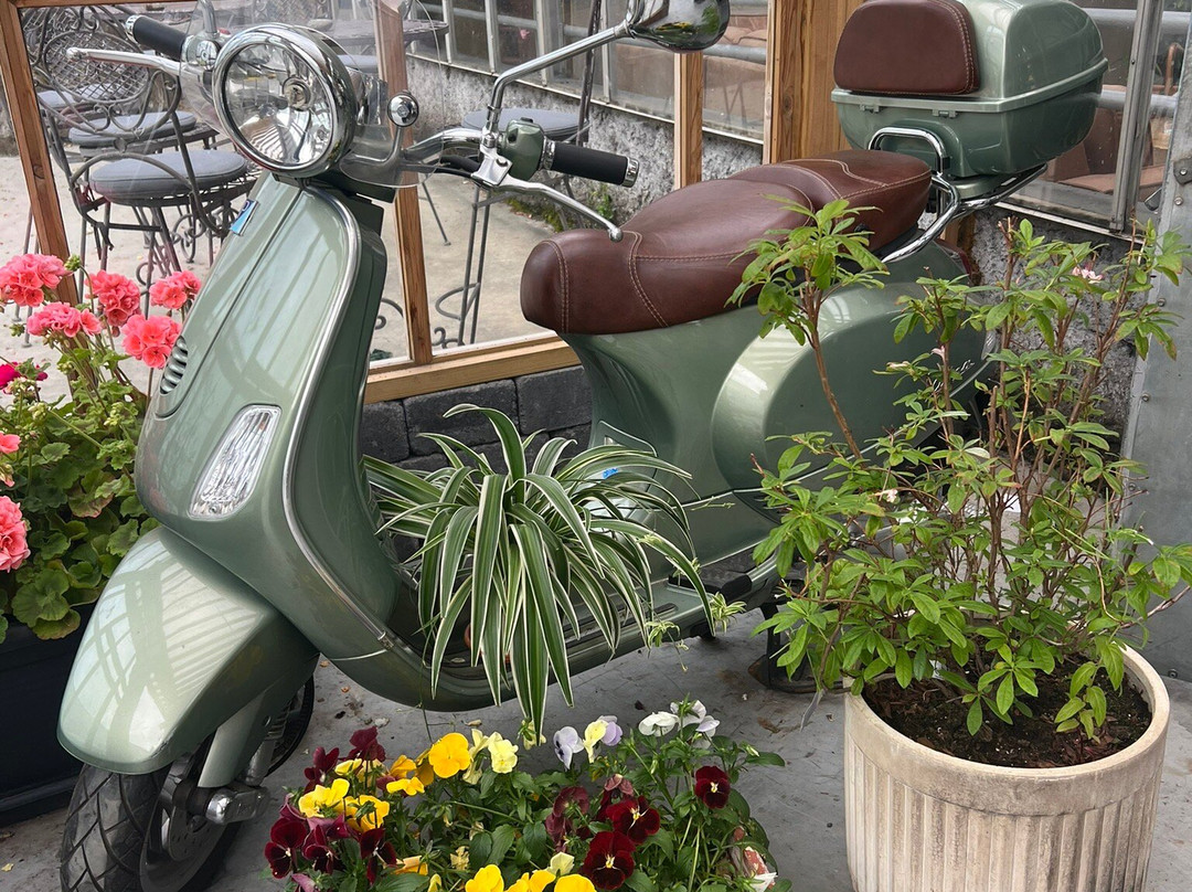 Vinstofa Fridheima - winebar & bistro-Reykholt必去景点