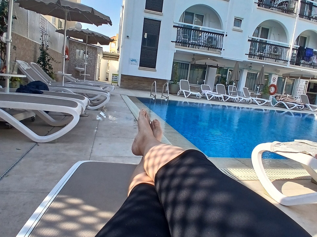 仙人掌酒店主图