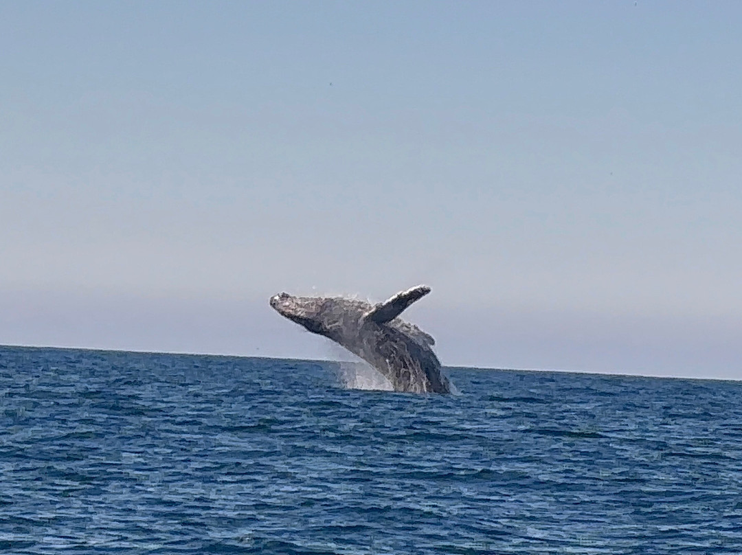 Maremar Turismo-伊利亚贝拉必去景点