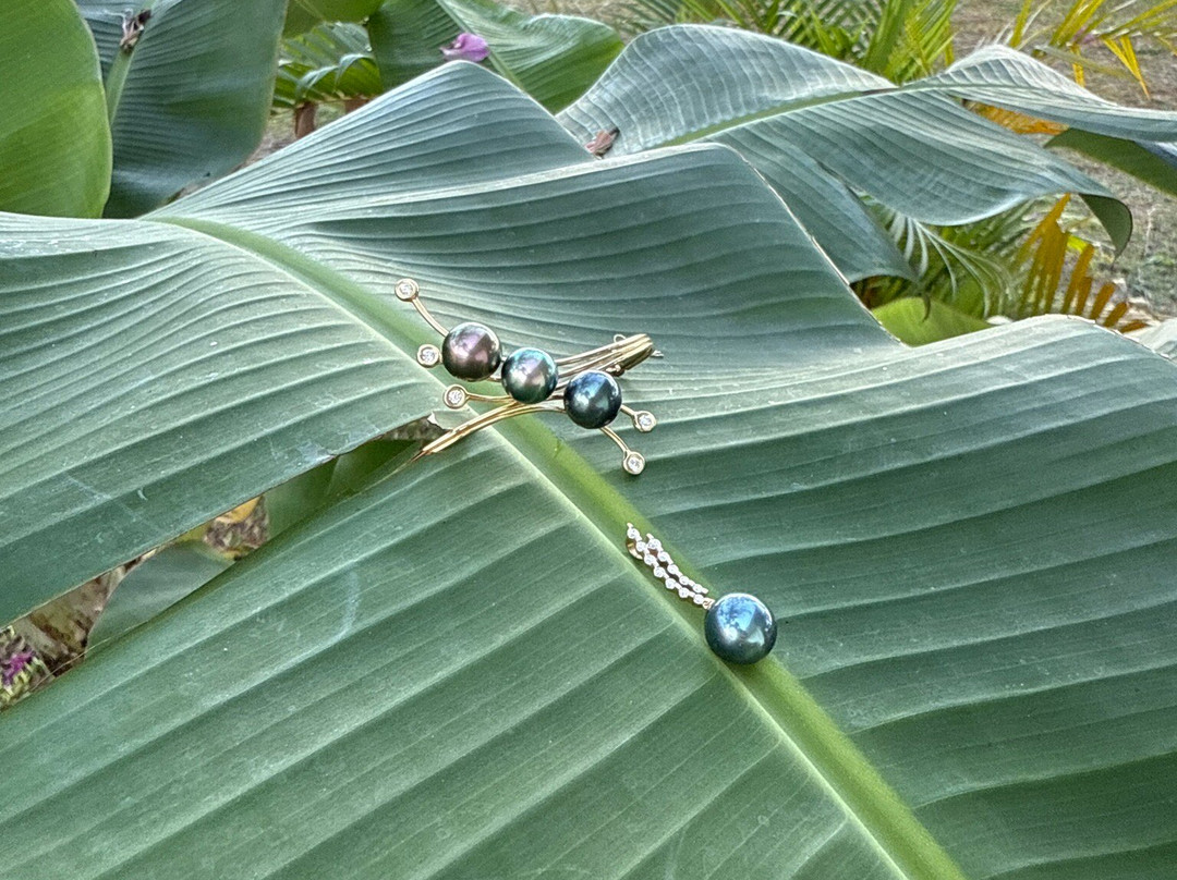 Pearl Romance-莫雷阿岛必去景点