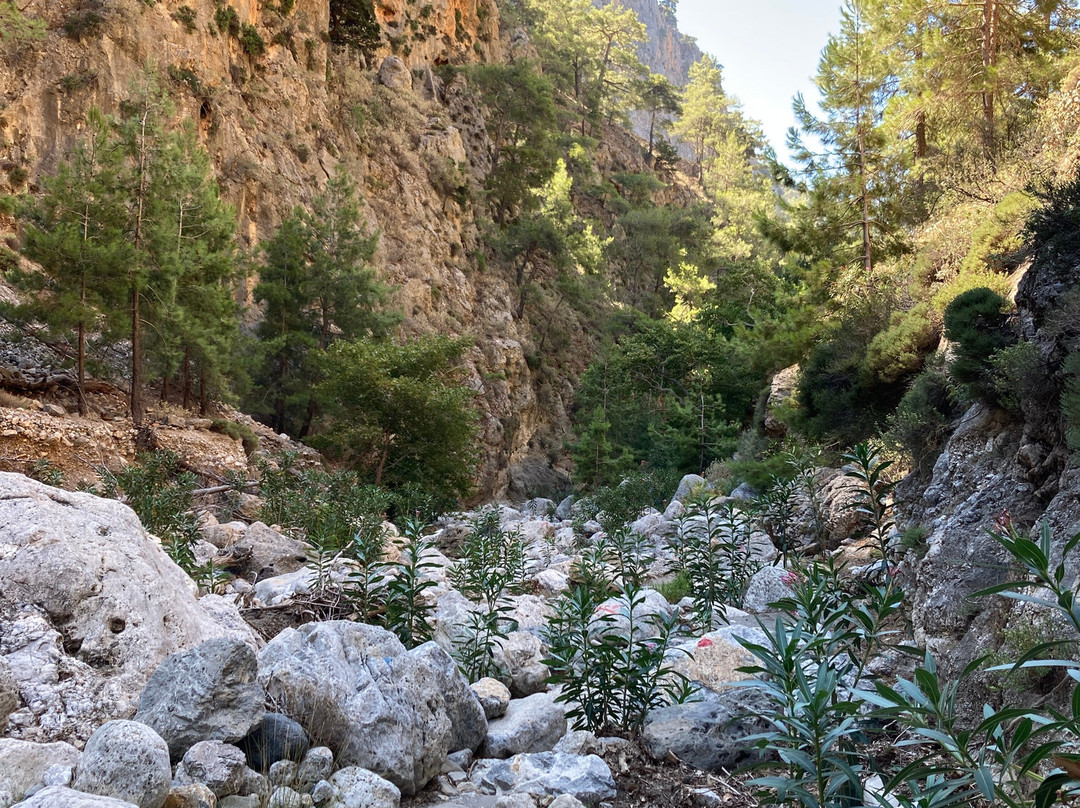 Agia Irini Gorge-Sougia必去景点