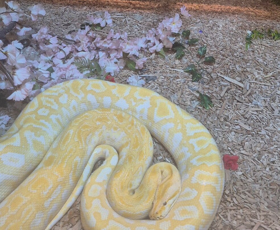 C & J's Animal Park-Portadown必去景点