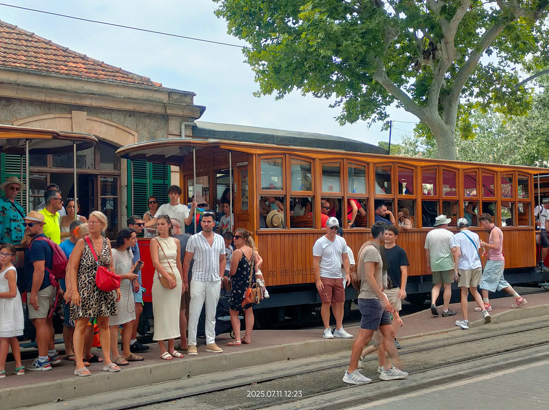Tram de Sóller-索列尔港必去景点