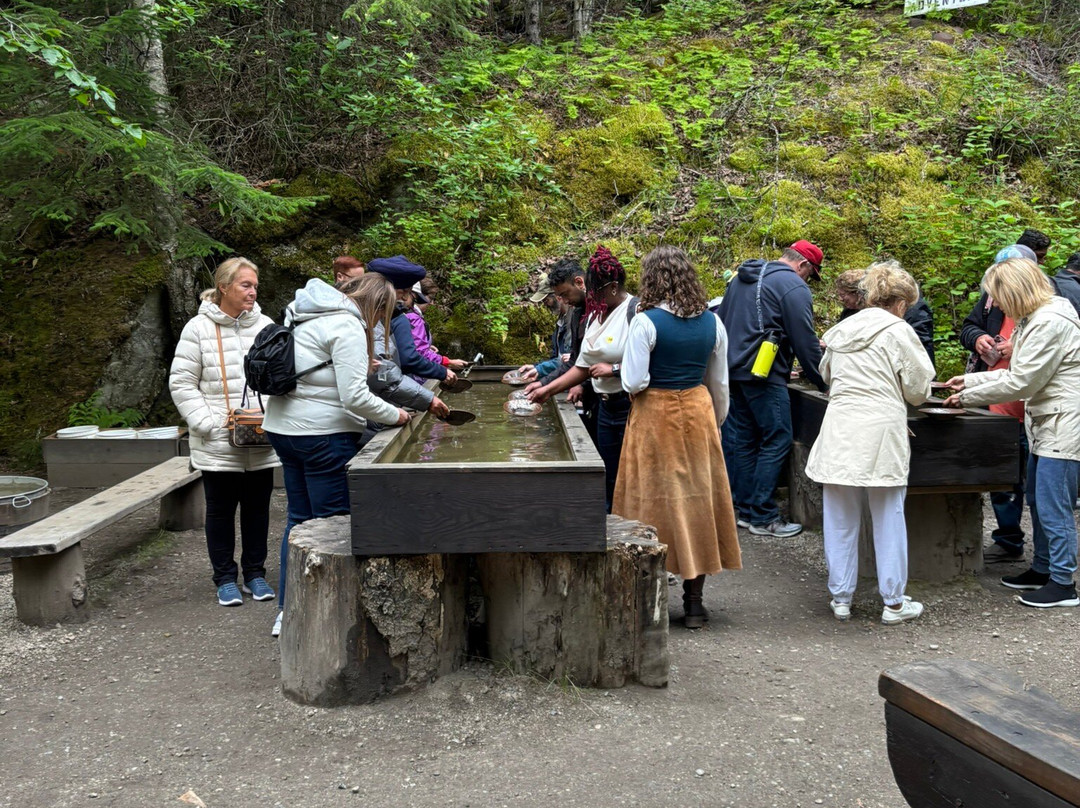 Liarsville Gold Rush Trail Camp-史凯威必去景点