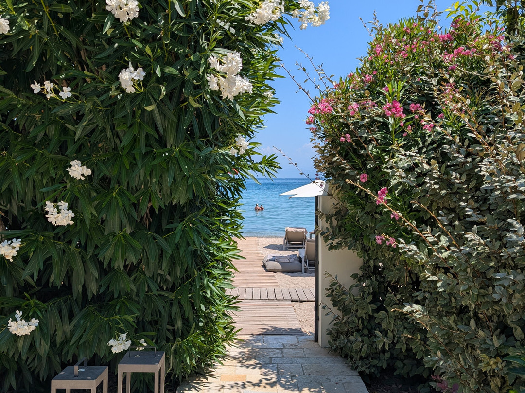 The Olivar Suites主图