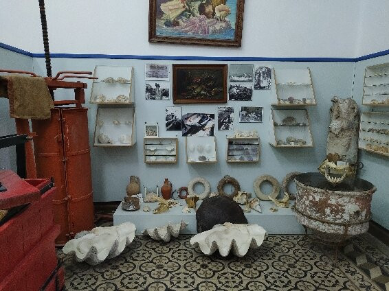 Maritime Museum of Kalymnos-Kalymnos必去景点