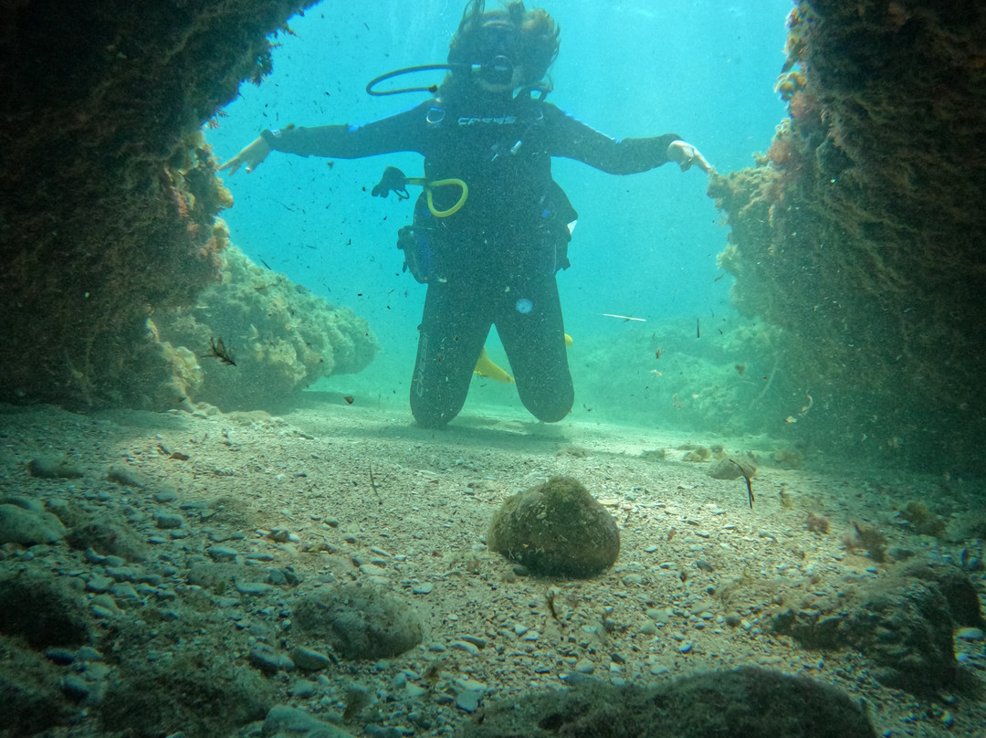 Ohana Diving-Miami Platja必去景点