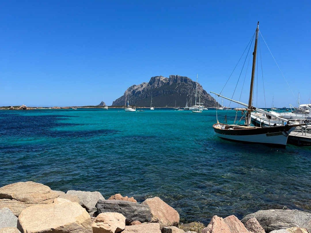 Sailing San Paolo-奥尔比亚必去景点