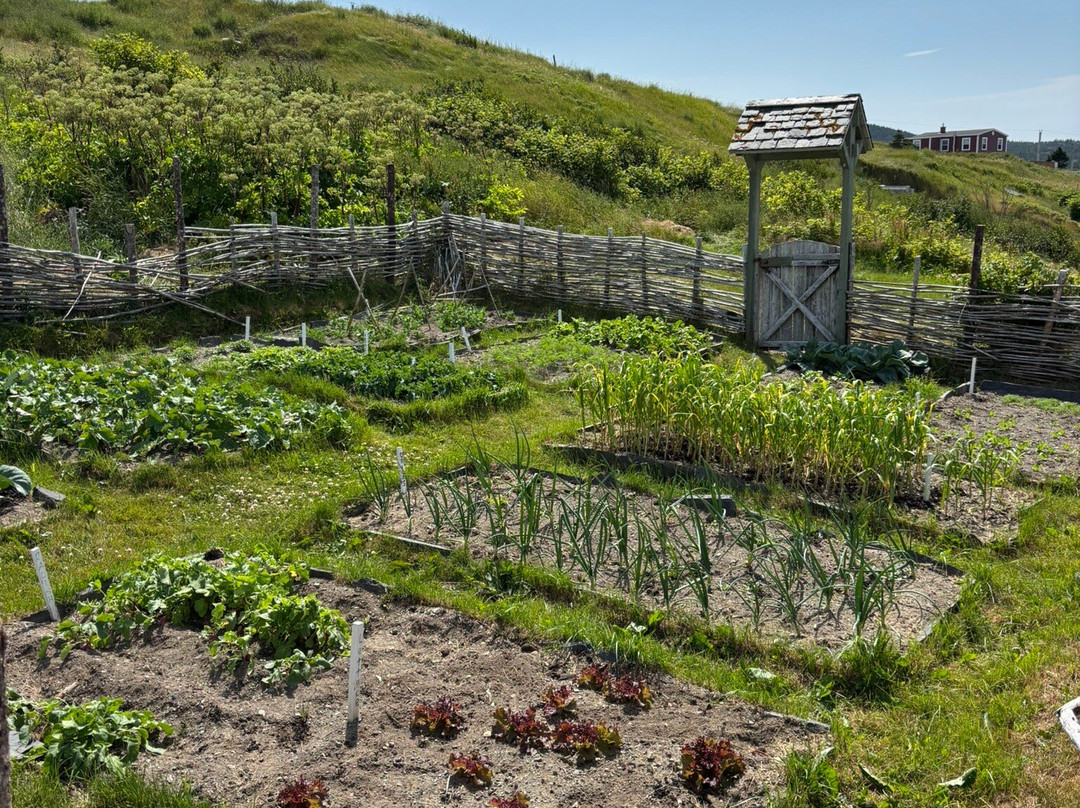 Colony of Avalon-Ferryland必去景点
