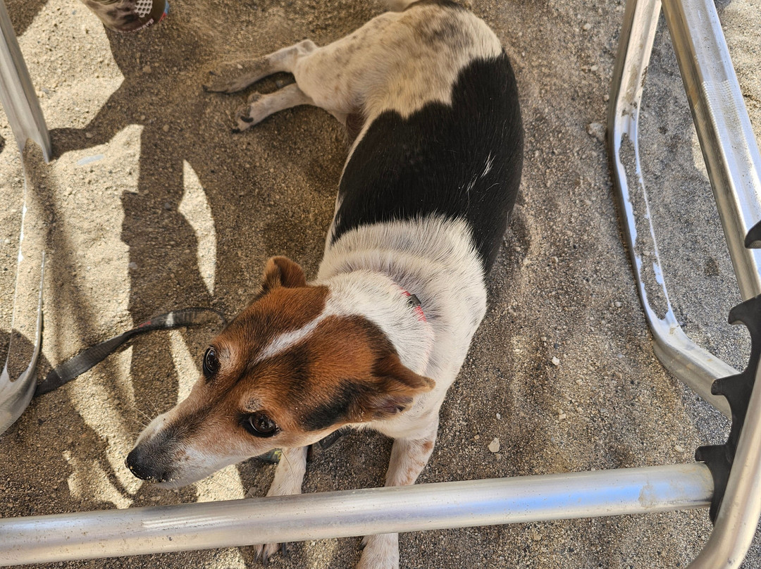 Municipal Beach Kitroplatia-Agios Nikolaos必去景点