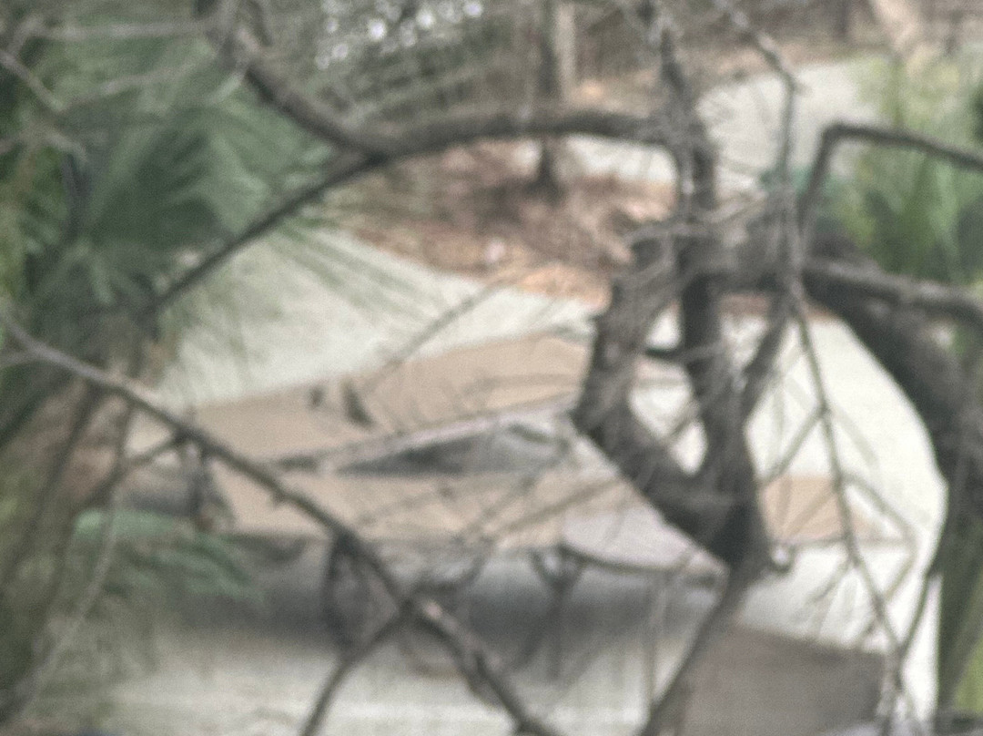 La Quinta Inn & Suites by Wyndham Shreveport Airport主图