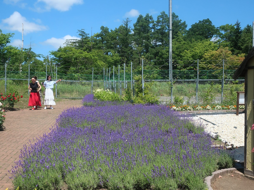 Iwamizawa Service Area Outbound-岩见泽市必去景点