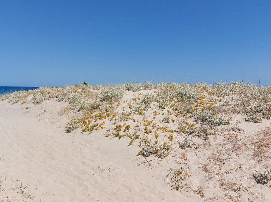 Spiaggia di Foxiglioni-Tortoli必去景点