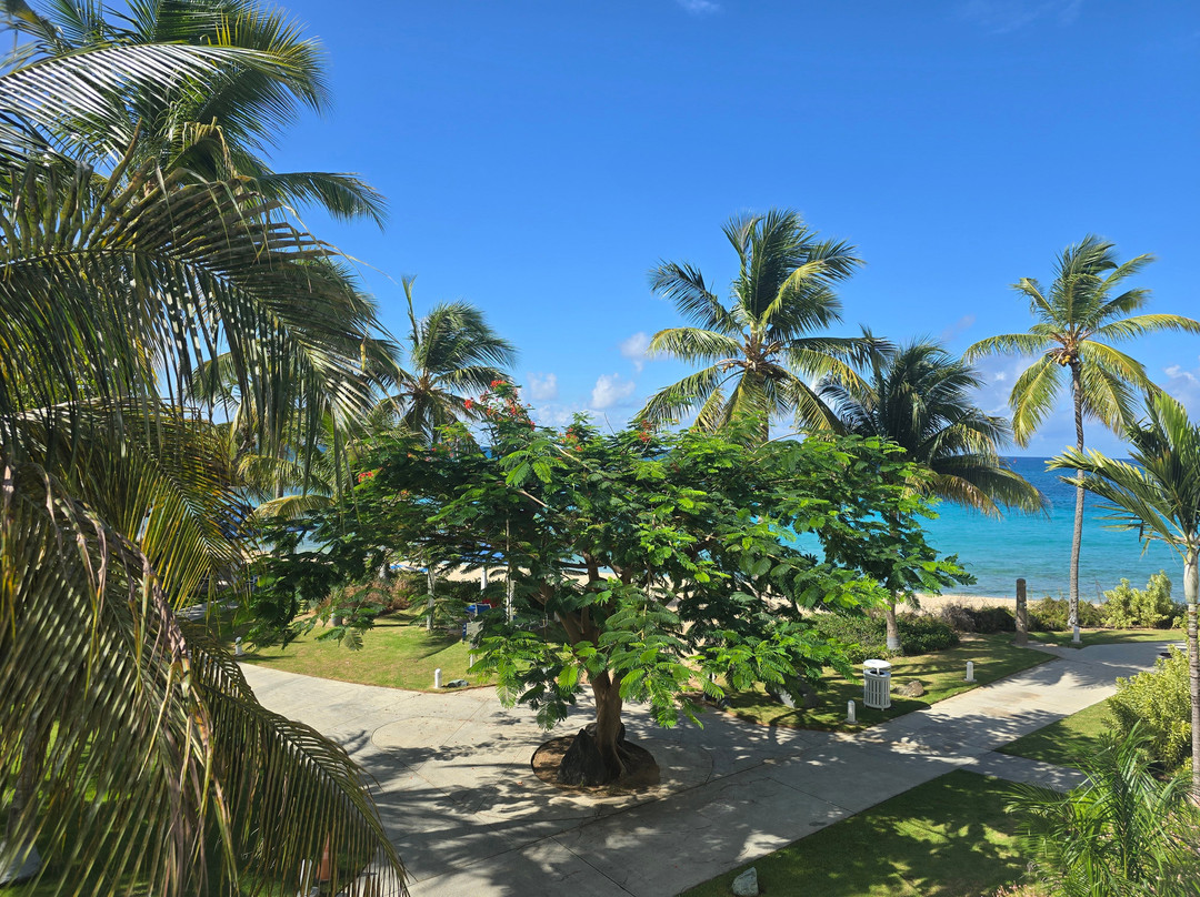 Limetree Beach-South Coast必去景点