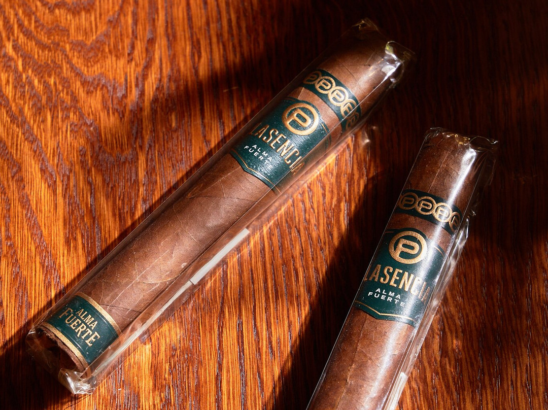 Cigar Club Professor Freud-圣彼得堡必去景点