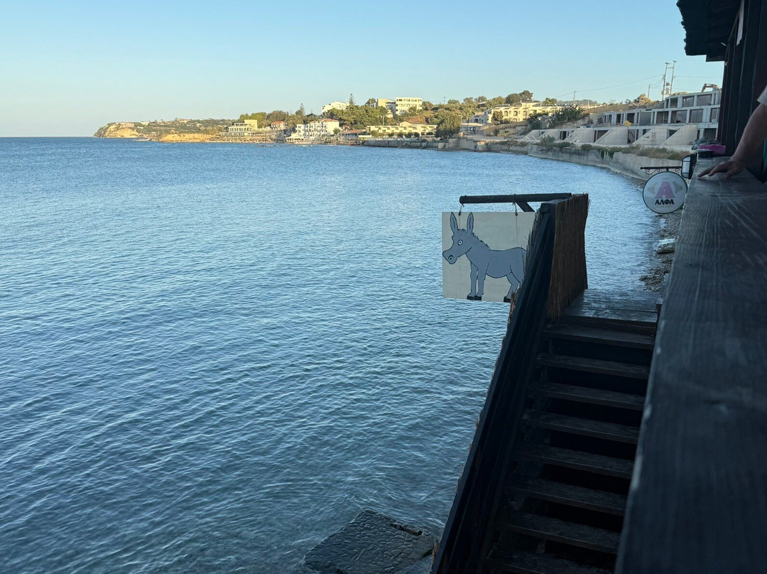 Donkey Beach-扎金索斯镇必去景点