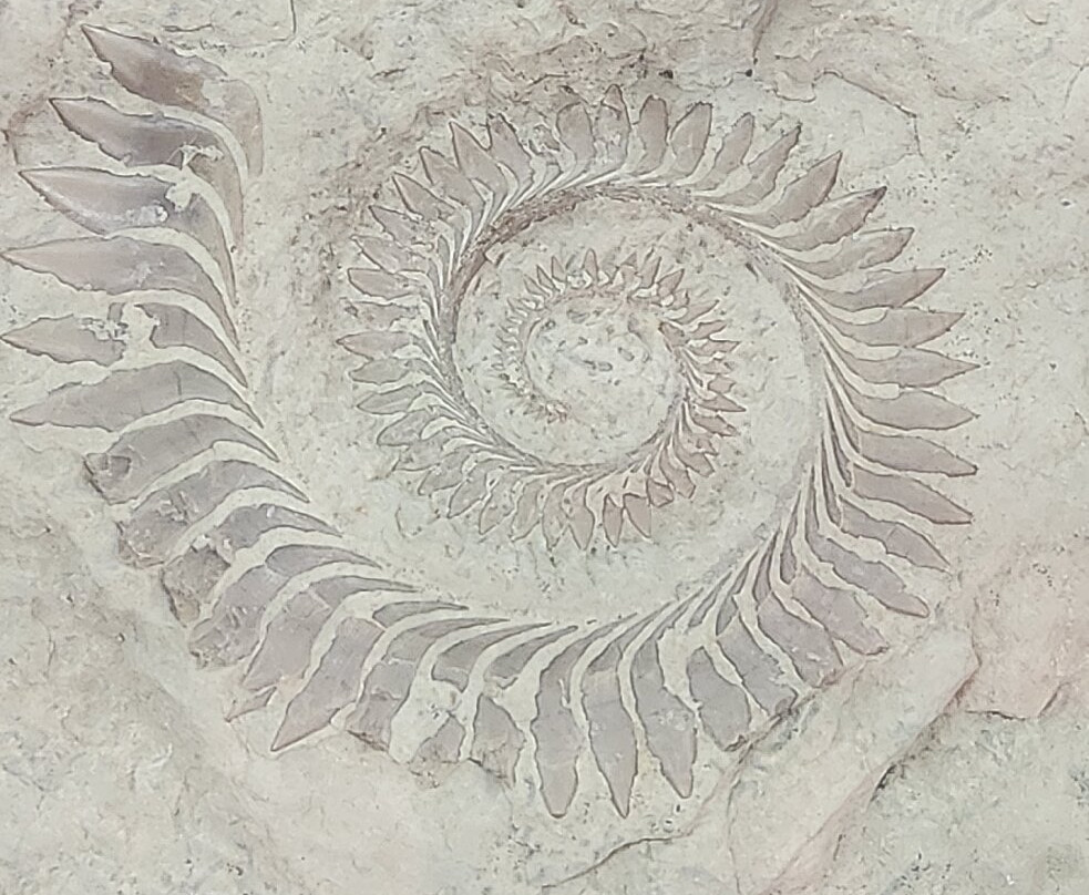 Ural Geological Museum-叶卡捷琳堡必去景点