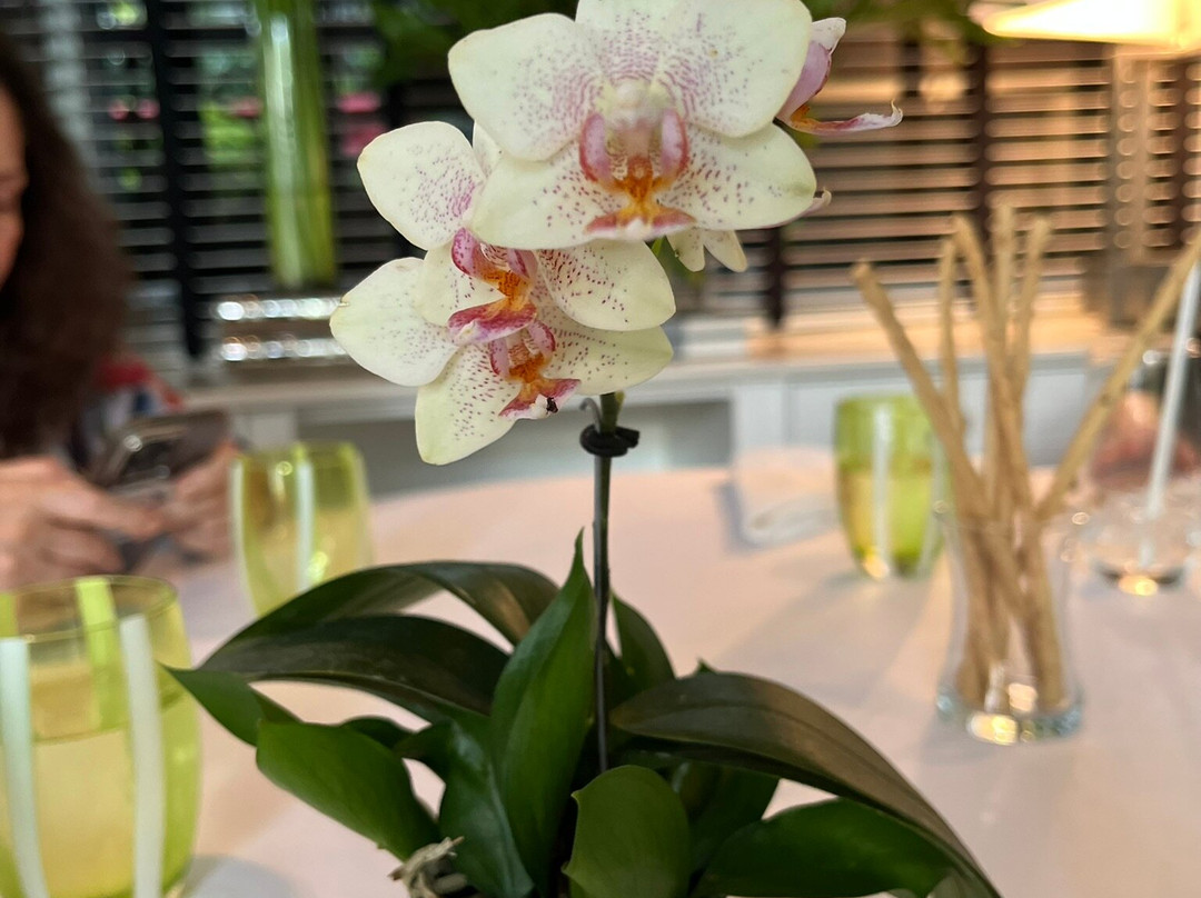 Cayena-Caracas Hotel主图