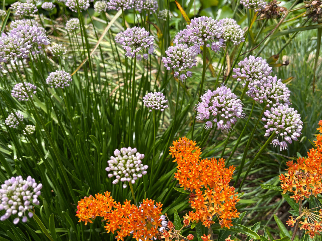 The Garden Door-斯特金贝必去景点