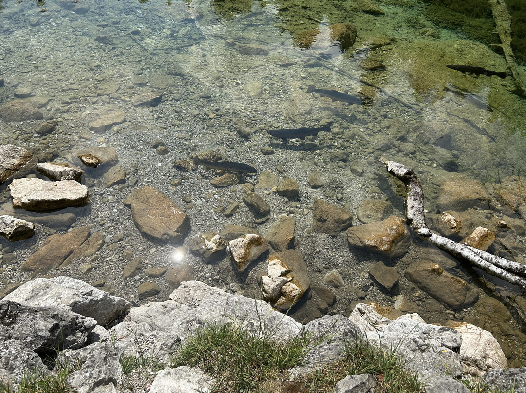 Badersee-Grainau必去景点