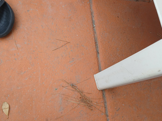 Guya Wave Hotel主图