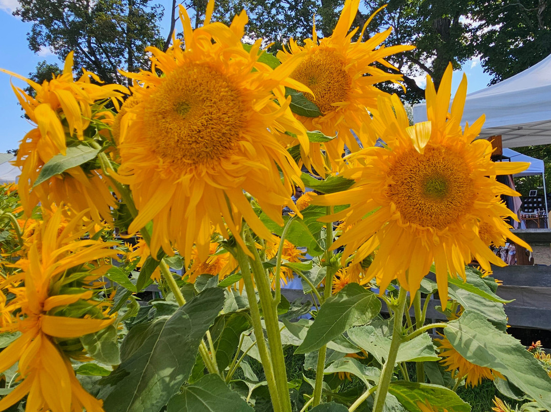 Coppal House Farm-Lee必去景点