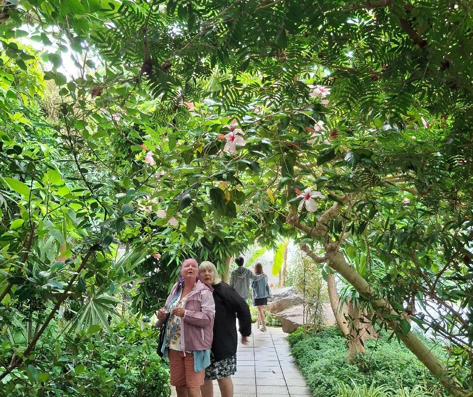 Jephsons Glasshouse-皇家利明顿温泉必去景点