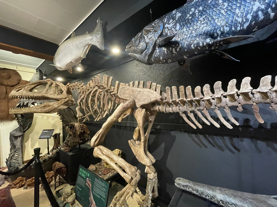 Hand of Man - Museum of Natural History, Cultural Arts & Conservation-邓肯必去景点