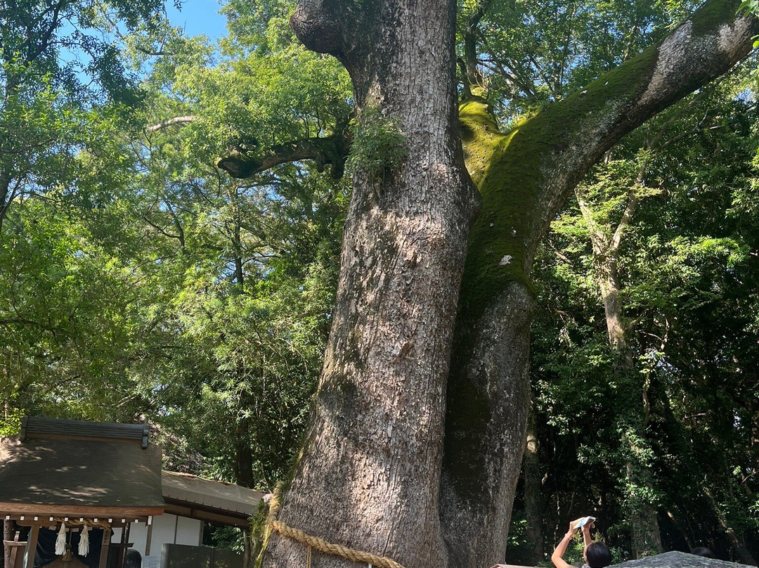 Izanagi Shrine-淡路市必去景点