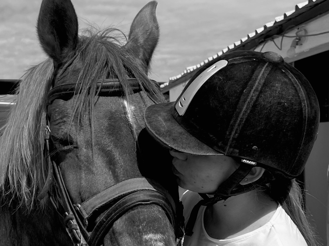 Hipica Gilillo-San Miguel de Salinas必去景点