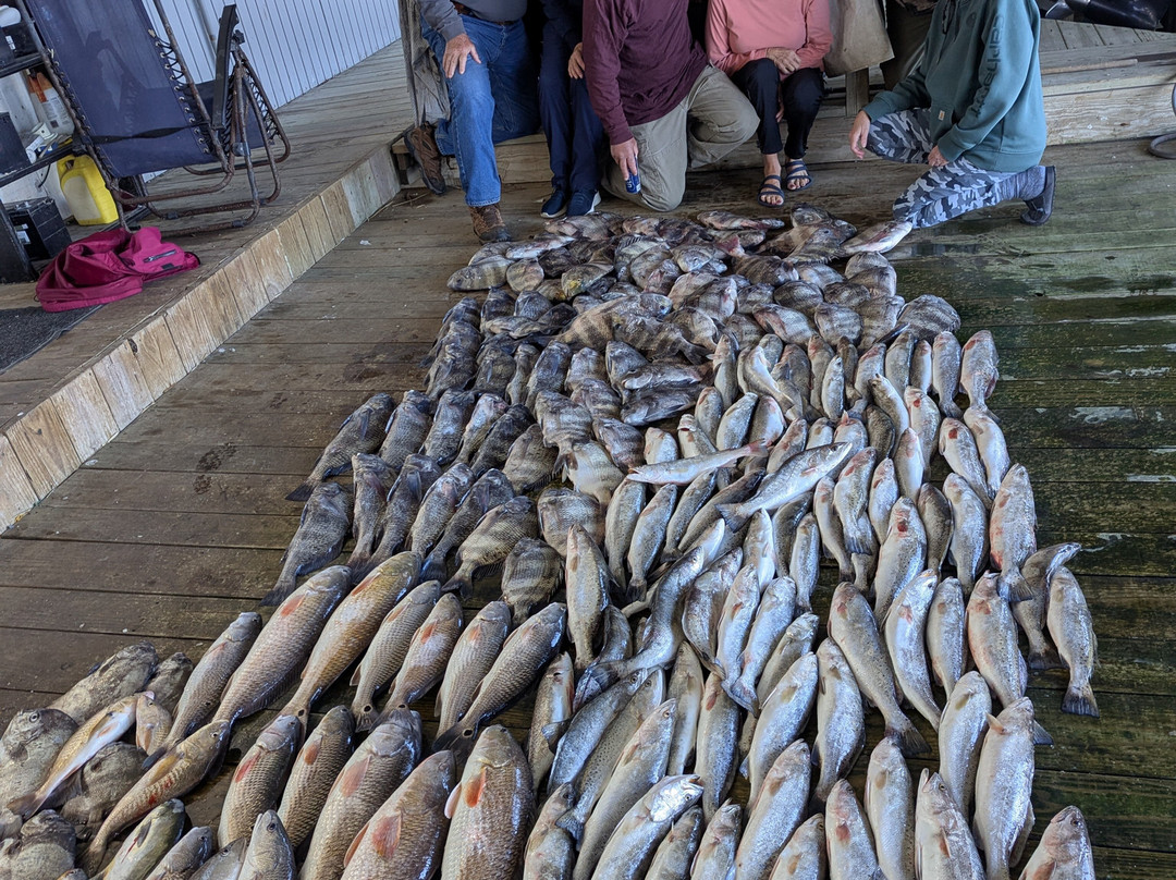 Southern Access Charters-Venice必去景点