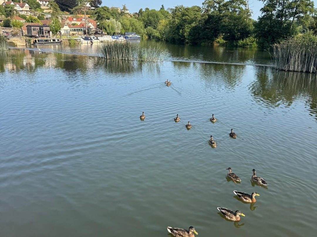 The Riverside Inn主图